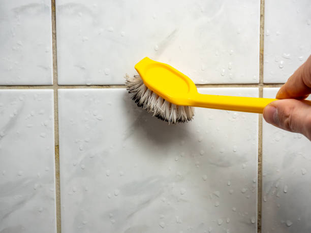 Home Mold Removal in Dormont, PA