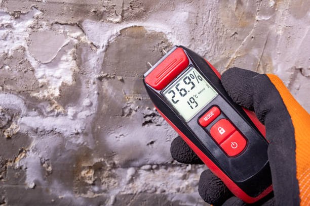 Best Commercial Mold Removal  in Dormont, PA