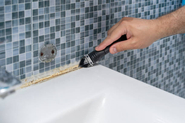 Best Toxic Mold Removal  in Dormont, PA